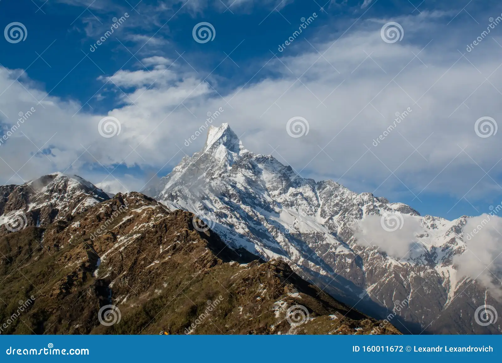 Forest path on the lower section of Mardi Himal Trekking